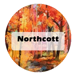 Northcott Fabrics